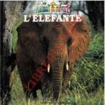 L' elefante. Animali da salvare
