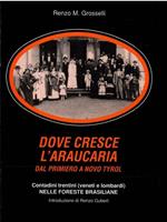 Dove Cresce L'araucaria. Dal Primiero a Novo Tyrol Contadini Trentini (Veneti e Lombardi) Nelle Foreste Brasiliane Parte Terza Paranà 1976-1940