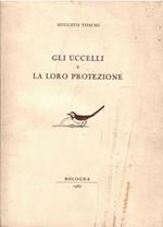Gli Uccelli e La Loro Protezione