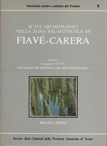 Scavi archeologici nella zona palafitticola di Fiavé-Carera. Parte I: Campagne 1969-1976: situazione dei depositi e dei resti strutturali