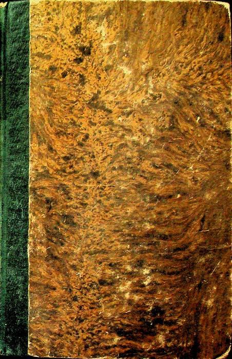 Vita di Dante - Cesare Balbo - copertina