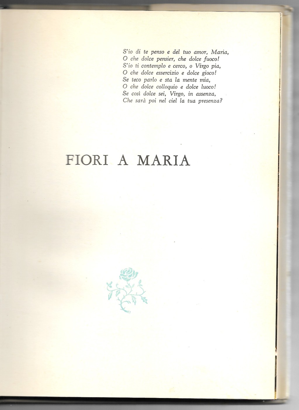 Libreria Trippini Sergio
