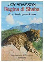 Regina Di Shaba. Storia Di Un Leopardo Africano