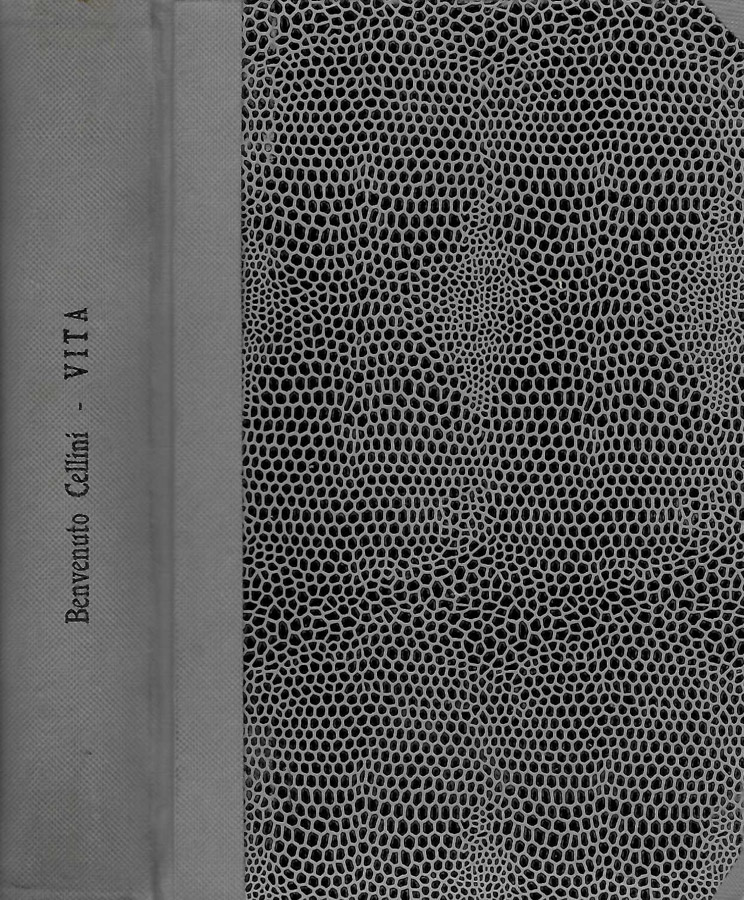 Biblioteca di Babele