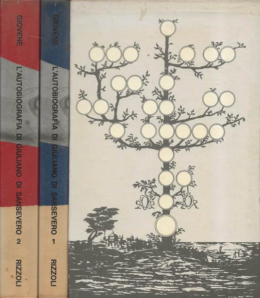 L' autobiografia di Giuliano di Sansevero. Vol. I e Vol. II - Andrea Giovene - copertina