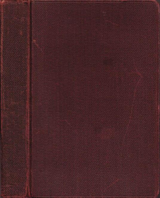 Il Martirio di un fanciullo. Pel di Carota (Poil de Carotte) - Jules Renard - copertina