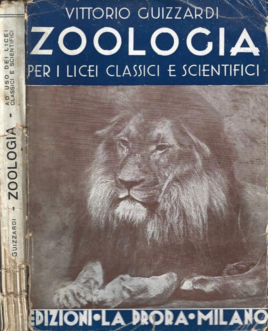 Zoologia - Vittorio Guizzardi - copertina