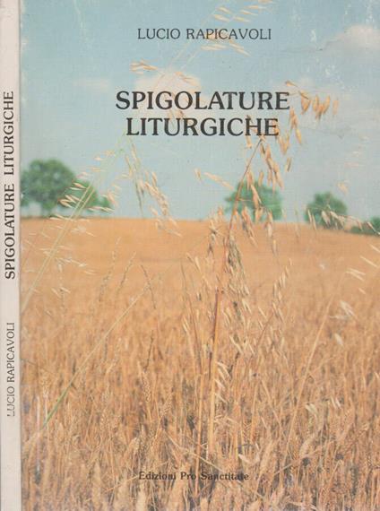Spigolature liturgiche - copertina