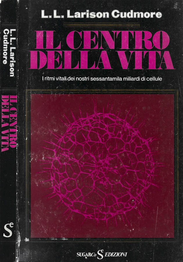 Biblioteca di Babele