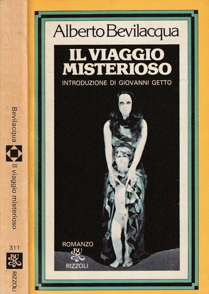 Il viaggio misterioso - Bevilacqua Alberto - copertina