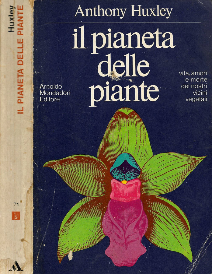 L'Odissea Libri e Arte