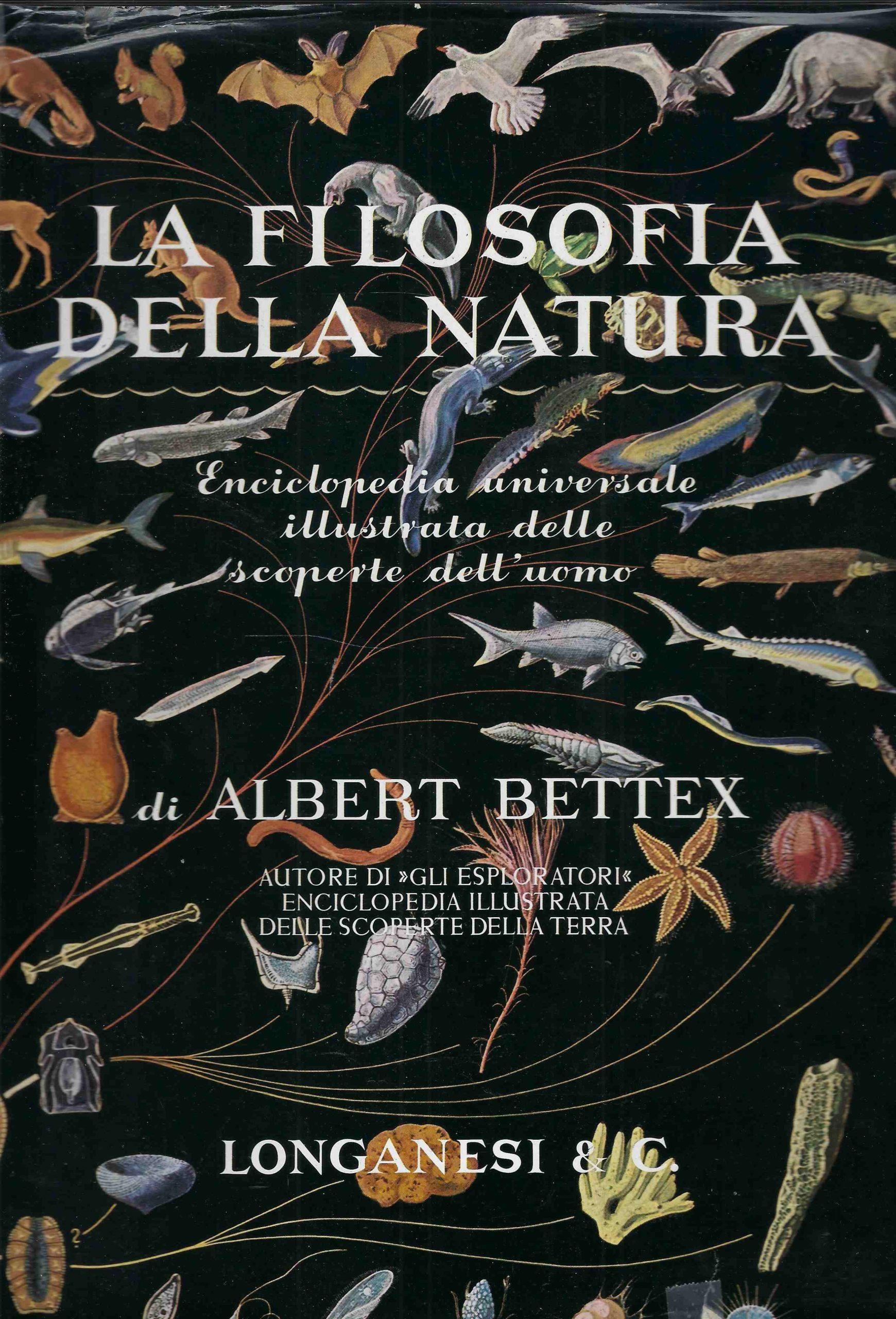 Le Case di Carta