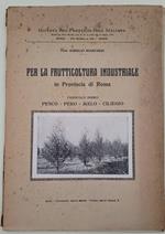 Per La Frutticoltura Industriale In Provincia Di Roma-Fascicolo Primo-Pesco-Pero-Melo-Ciliegio