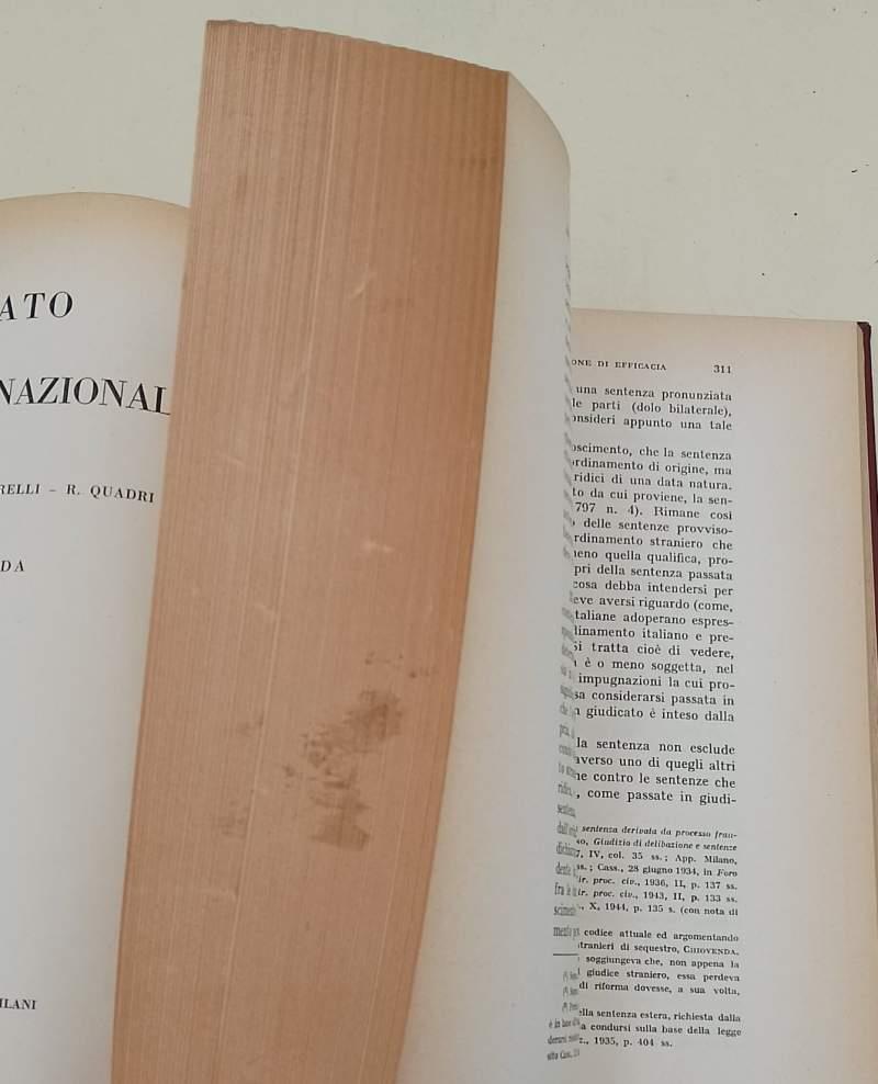 Diritto Processuale Civile Internazionale