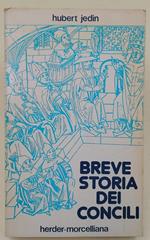 Breve Storia Dei Concili