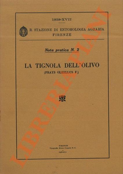 La Tignola dell'olivo (Prays oleellus F.) - Mario Cimini - copertina