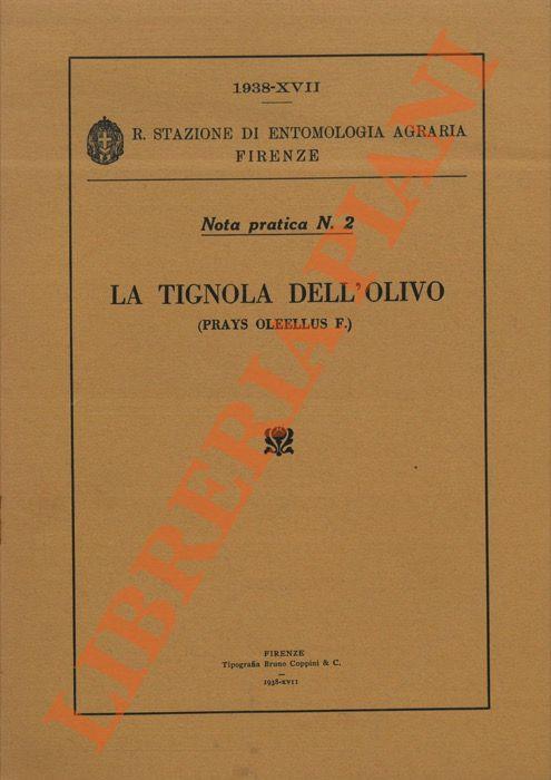 La Tignola dell'olivo (Prays oleellus F.) - Mario Cimini - copertina