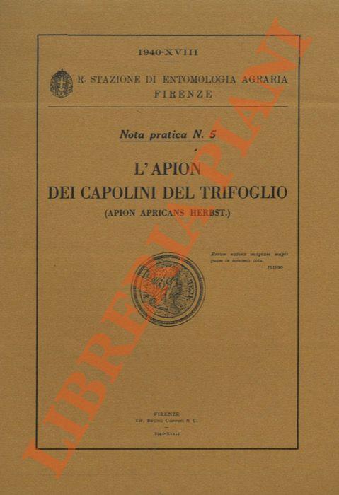 L' Apion dei Capolini del Trifoglio (Apion apricans Herbst.)