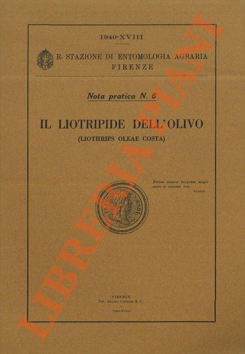Il Liotripide dell'olivo (Liothrips oleae Costa)
