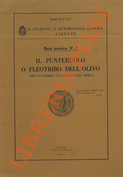 Il Punteruolo o Fleotribo dell'Olivo (Phloeotribus scarabaeoides Bern.) - Antonio Servadei - copertina