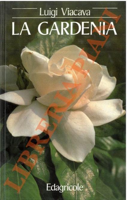 La gardenia - Luigi Viacava - copertina