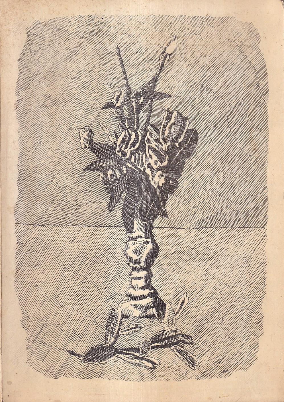 Incisioni originali italiane e straniere dell'800 e moderne. Acquerelli e disegni. Catalogo n. 142