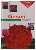Gerani. Storia, Curiosità, Coltivazione