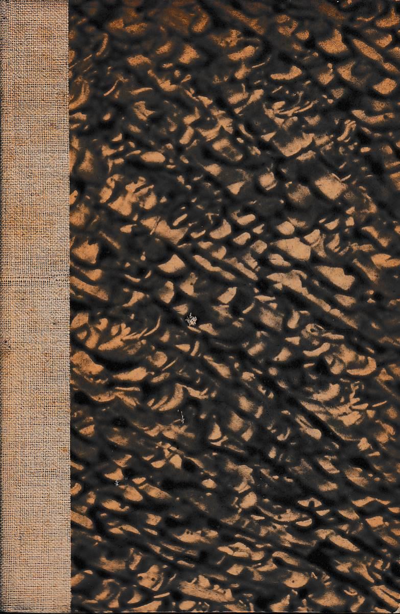 Laboratorio del libro