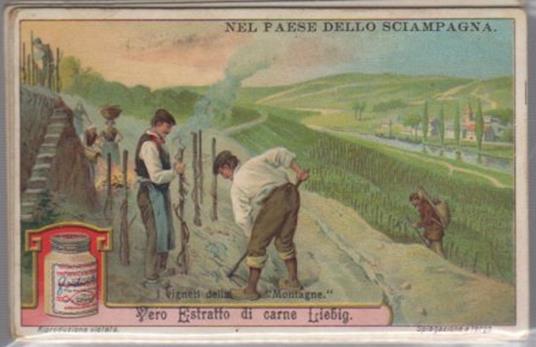 Nel paese dello Sciampagna - copertina