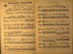 Fantasia Marinara ( intermezzo descrittivo )