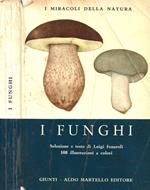 I funghi
