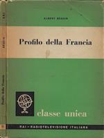 Profilo della Francia
