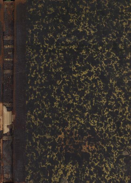 Gli ammoniti - A. Santini - copertina