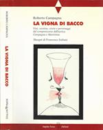 La vigna di Bacco