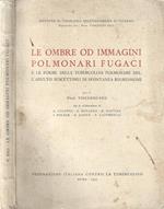 Le ombre od immagini polmonari fugaci