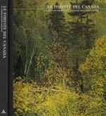 Le foreste del Canada