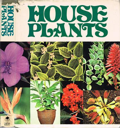 House Plants - Mariella Pizzetti - copertina