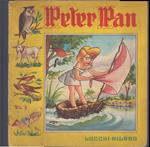 Peter Pan Fiaba Illustrata