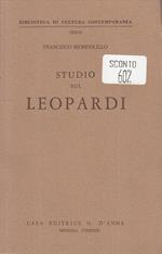 Studio Sul Leopardi