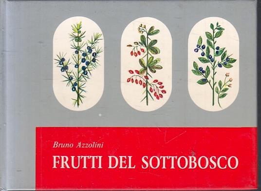 Frutti Del Sottobosco - Bruno Azzolini - copertina