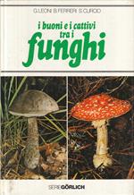 Buoni E Cattivi Tra Funghi- Leoni Ferreri Curcio- Gorlich