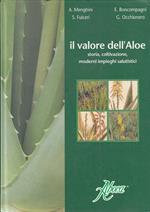 Il Valore Dell'aloe Storia Coltivazione Moderni