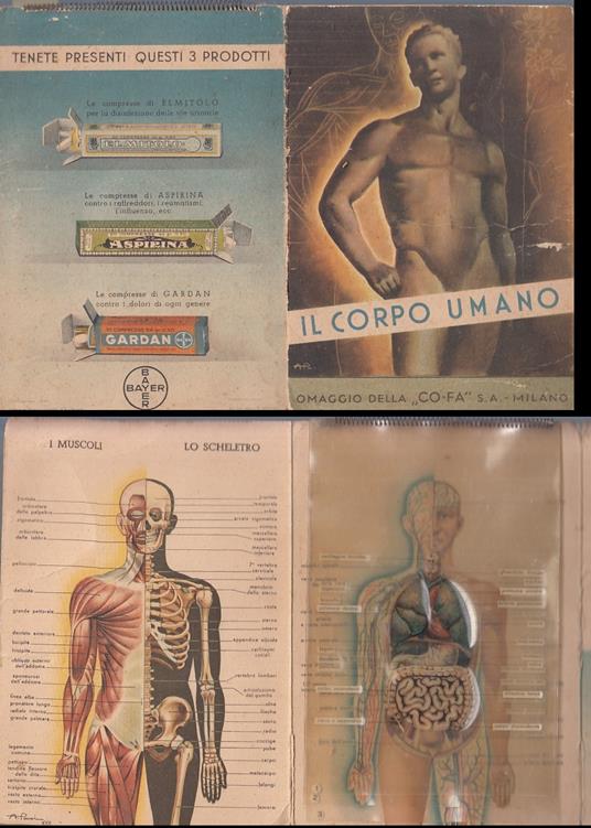 Il Corpo Umano Pieghevole Pubblicitario - copertina