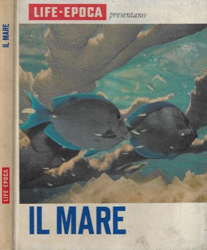 Il mare - Leonard Engel - copertina