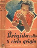 Brigida sotto il cielo grigio