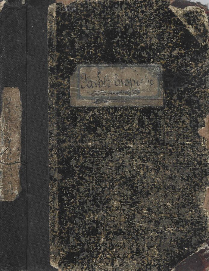 Biblioteca di Babele