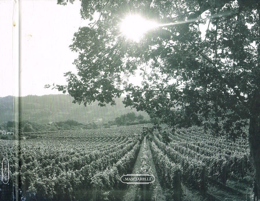 Biblioteca di Babele