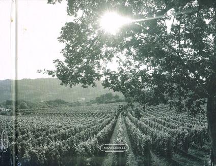 Vini...e dintorni Gianni Masciarelli - copertina