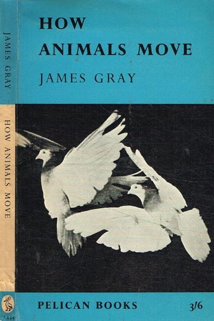 How animals move - James Grady - copertina