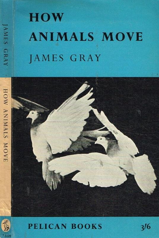 How animals move - James Grady - copertina